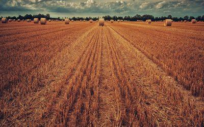 7 Observations Showing How Rural Healthcare is Overcoming the Provider Shortage 7 observations showing how rural healthcare is overcoming the provider shortage