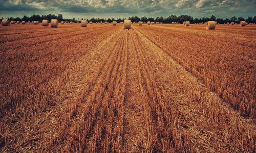 7 Observations Showing How Rural Healthcare is Overcoming the Provider Shortage 7 observations showing how rural healthcare is overcoming the provider shortage