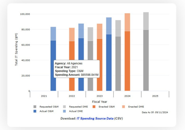 FY2025 total government spending on IT