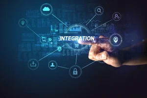 Why is integration so hard for the federal government?